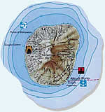 Anklicken zum vergrern